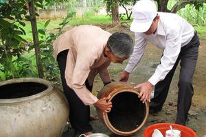 Tăng cường phòng chống bệnh sốt xuất huyết và virus Zika