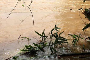 Án chung thân cho kẻ giết bạn rồi phi tang xác xuống sông