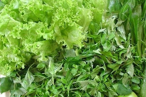 Những nguy hiểm tiềm ẩn khi ăn rau sống
