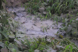 Công ty Cổ phần Xi măng Phú Thọ đang coi thường sức khỏe của người dân