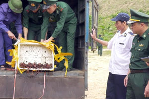 Lào Cai: Tiêu hủy hơn 1 tấn chân gà và tôm không rõ nguồn gốc