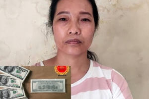Hà Nội: Tạm giữ hình sự nữ giúp việc trộm 5.000 USD