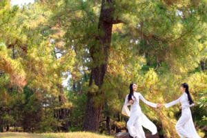 Thiếu nữ Việt quyến rũ với tà áo dài trong Triển lãm ảnh Vườn xưa