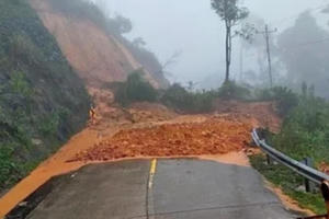 Tổng cục Đường bộ Việt Nam phát đi công điện chủ động ứng phó, khắc phục với mưa, lũ