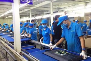 Cục thuế TPHCM: Thủ đoạn lách thuế của Công ty Asanzo rất tinh vi