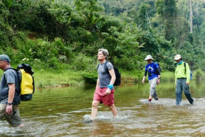 Đừng khư khư bảo tồn rừng