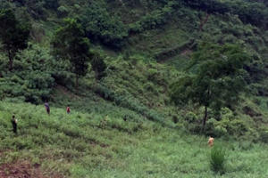 Hà Giang: Xe tải bất ngờ lao xuống vực sâu hàng trăm mét