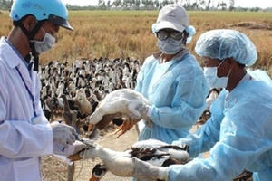 Sẽ có Trung tâm điều phối ASEAN về Thú y và Bệnh truyền lây từ động vật sang người