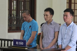 Một lô “hàng trắng” ba án tử hình