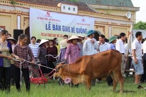 Vingroup hỗ trợ 200 bê cái cho các hộ nghèo tỉnh Thái Bình gây giống