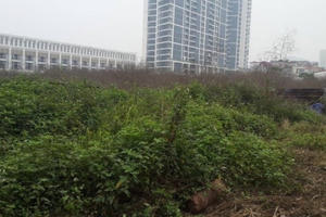 "Siêu dự án" Booyoung Vina giờ như bãi đất hoang!