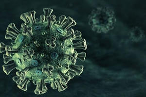 Phát hiện mới và sự thay đổi “chưa từng có” của biến chủng SARS-CoV-2