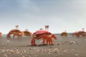 Union is strength - Đoàn kết là sức mạnh