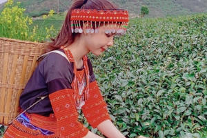 Huỳnh Vy hóa thiếu nữ Tây Bắc, hào hứng quảng bá du lịch Mộc Châu