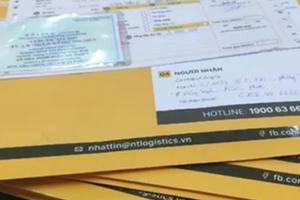 Bình Thuận: Kiểm tra văn bằng, chứng chỉ cán bộ, công chức, viên chức