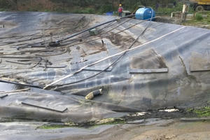 Đà Nẵng: Đầu tư khu liên hợp xử lý chất thải rắn công suất 1.000 tấn/ngày