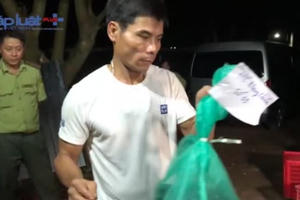 Bình Phước: Phát hiện số lượng lớn động vật hoang dã quý hiếm tại hộ gia đình