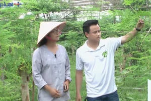 Đồng hành cùng thực phẩm sạch: Khám phá vườn rau hữu cơ Đồng hành cùng thực phẩm sạch: Khám phá vườn rau hữu cơ