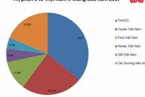 Đại gia nào đang nắm giữ thị phần ô tô Việt Nam?