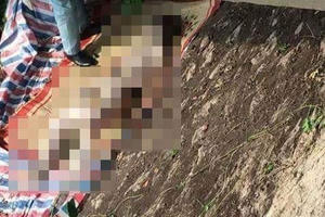 Hưng Yên: Nghi vấn người đàn ông tử vong, trôi trên mặt nước bị mất một phần thi thể