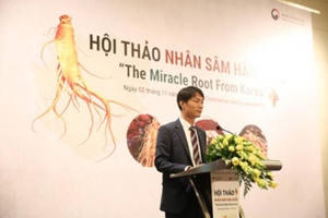 Việt Nam: Thị trường xuất khẩu nhân sâm lớn thứ 5 của Hàn Quốc