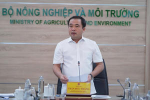 Bộ trưởng Bộ NN và Môi trường làm Chủ tịch Hội đồng đánh giá trữ lượng khoáng sản quốc gia