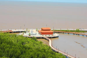 Cà Mau: Đột phá nâng cao sức cạnh tranh du lịch "đất Mũi" Cà Mau: Đột phá nâng cao sức cạnh tranh du lịch "đất Mũi"