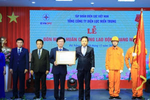 Tổng Công ty Điện lực Miền Trung đón nhận Huân chương Lao động hạng Nhất