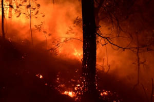 Cảnh 2.000 người chống chọi với lửa trong đêm nóng kỷ lục ở Hà Nội