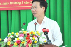 Chính phủ tiếp tục chỉ đạo thanh tra dự án Long Hưng, Sơn Tiên