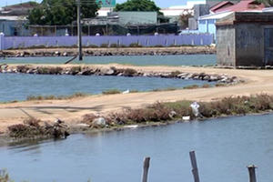 Cho thuê đất trái luật, một phó chủ tịch huyện ở tỉnh Ninh Thuận nói ‘chuyện đã lỡ’