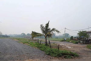 TP Hồ Chí Minh: Cảnh giác với lừa đảo mua bán nhà đất bằng hình thức lập vi bằng