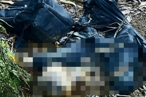 Lâm Đồng: Tá hỏa phát hiện thi thể trong rừng tràm