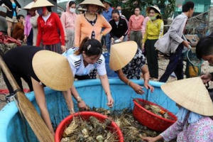 Sống chung với thiên tai