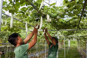 Màu xanh trên vùng biển đảo Tây Nam của Tổ quốc