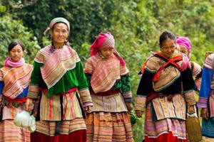 Tiêu chí phân định vùng đồng bào dân tộc thiểu số và miền núi