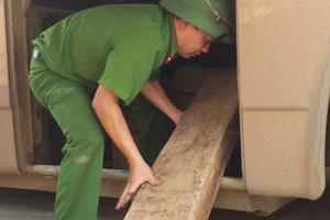 Bắt xe khách biển Lào chở trái phép gần 2m3 gỗ Đinh Hương