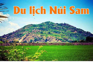 Thành lập Ban Quản lý Khu du lịch quốc gia Núi Sam, tỉnh An Giang Thành lập Ban Quản lý Khu du lịch quốc gia Núi Sam, tỉnh An Giang