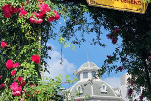 Vườn hồng khổng lồ tại Sun World Fansipan Legend đón nhận kỷ lục Guinness Việt Nam