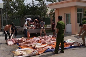 Bình Dương: Bắt giữ gần 2 tấn thịt heo bẩn chuẩn bị đi lên bàn ăn