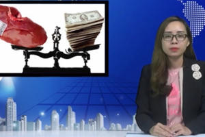 Bản tin  Pháp luật: Thủ đoạn tàn nhẫn trong đường dây mua bán thận bị công an bóc mẽ