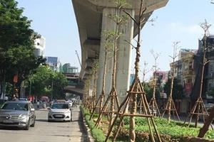 Trồng cây xanh dưới gầm đường sắt - tại sao không?