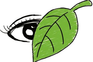 Bài Văn đạt điểm 10 thi Đại học ở Trung Quốc: “Thành tích như chiếc lá, đừng để lá che mắt…”