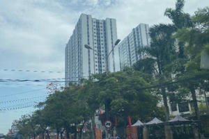 Hải Phòng báo cáo Thủ tướng vụ bị tung tin sai sự thật