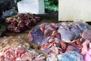 Đi mua nội tạng thối mang về địa phương tiêu thụ