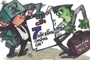 Khổ vì văn bằng, chứng chỉ