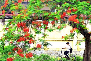 Khi tháng Năm không phải mùa hè