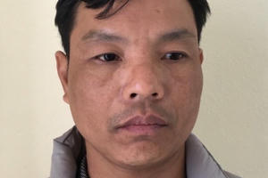 Thuê tự lái mang đi cầm cố chiếm đoạt gần nửa tỷ đồng