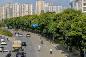 Những phố hoa Hà Nội làm xao xuyến lòng người