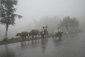 Không khí lạnh tăng cường, vùng núi rét đậm rét hại